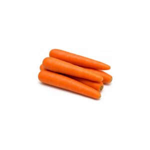 Carottes grandes