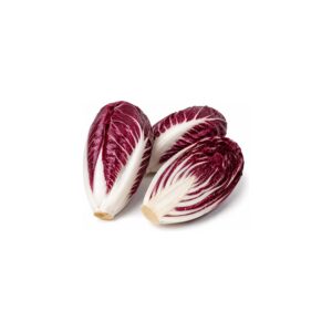 Chicorée rouge (Cico)