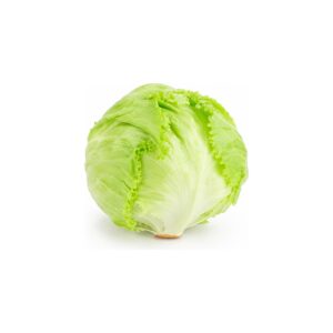 Iceberg