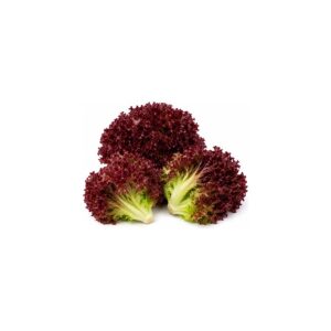 Lollo rouge