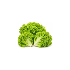 Lollo vert