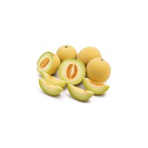 Melon Galia
