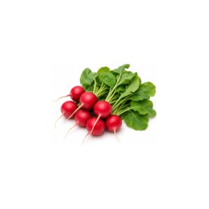 Radis rouges