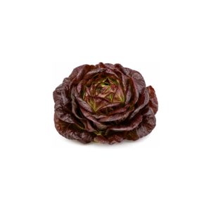 Salade pommée rouge